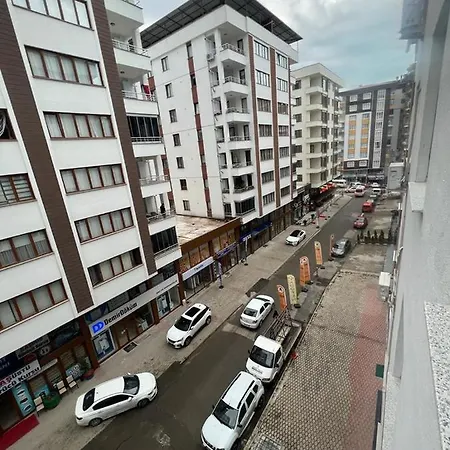 Altay 1461 Kasuestue Apartment *