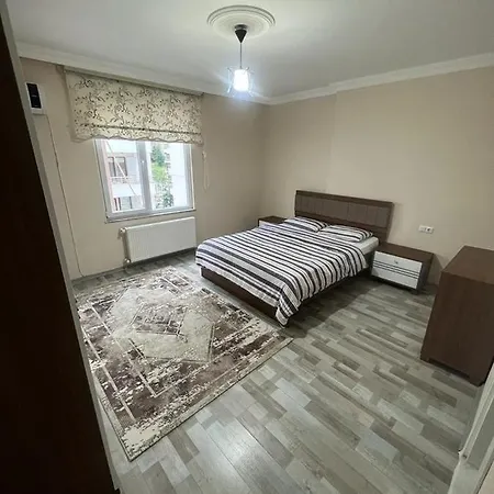 Altay 1461 Kasuestue *